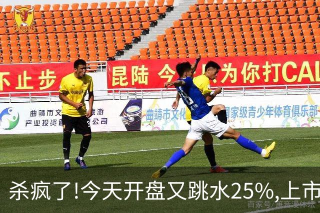 杀疯了!今天开盘又跳水25%,上市两天回撤45%,首日进场的全被套！